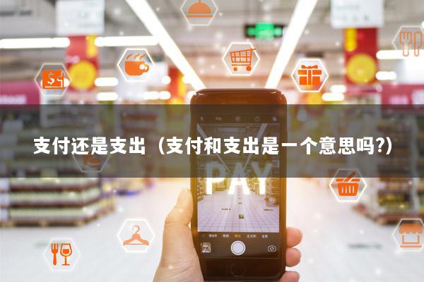 支付还是支出(支付和支出是一个意思吗?)