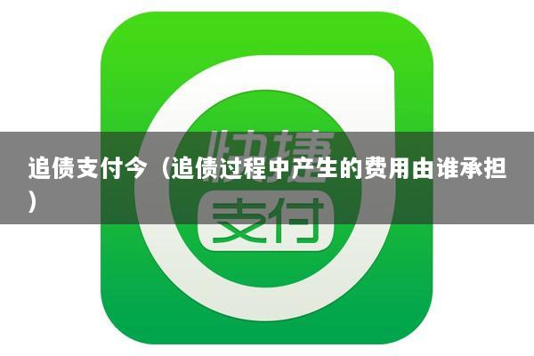 追债支付今(追债过程中产生的费用由谁承担)
