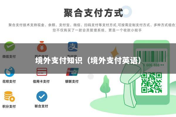 境外支付知识(境外支付英语)