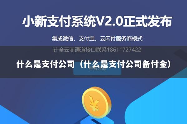 什么是支付公司(什么是支付公司备付金)
