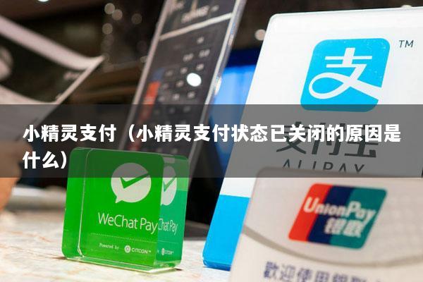 小精灵支付(小精灵支付状态已关闭的原因是什么)