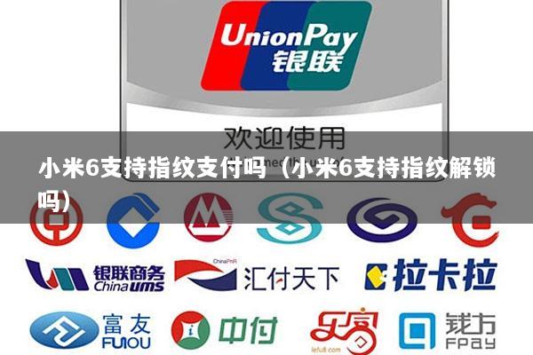小米6支持指纹支付吗(小米6支持指纹解锁吗)