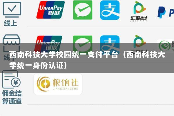 西南科技大学校园统一支付平台(西南科技大学统一身份认证)