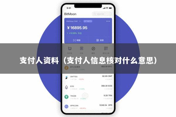 支付人资料(支付人信息核对什么意思)