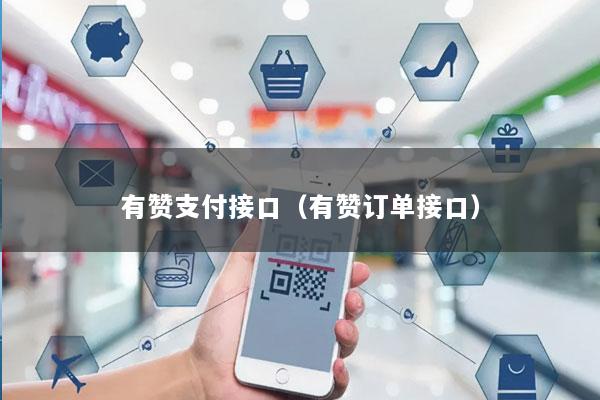 有赞支付接口(有赞订单接口)