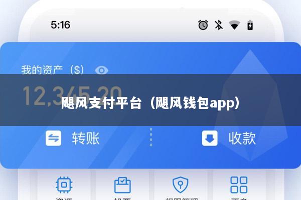 飓风支付平台(飓风钱包app)