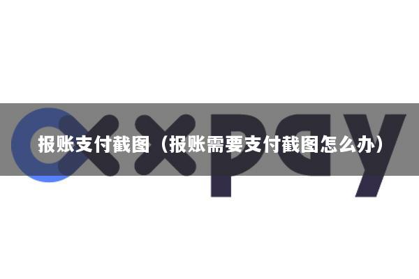 报账支付截图(报账需要支付截图怎么办)