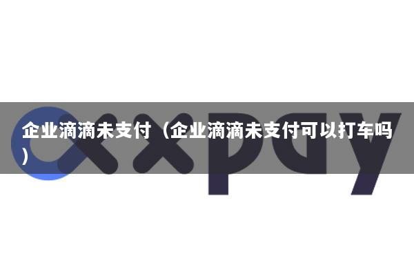 企业滴滴未支付(企业滴滴未支付可以打车吗)