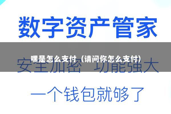 嘿是怎么支付(请问你怎么支付)