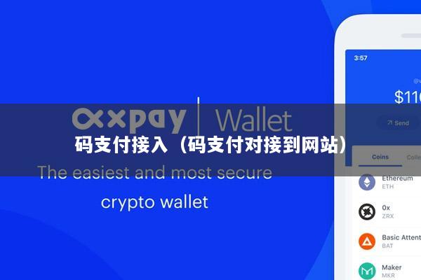 码支付接入(码支付对接到网站)