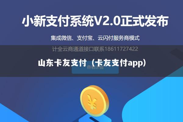 山东卡友支付(卡友支付app)