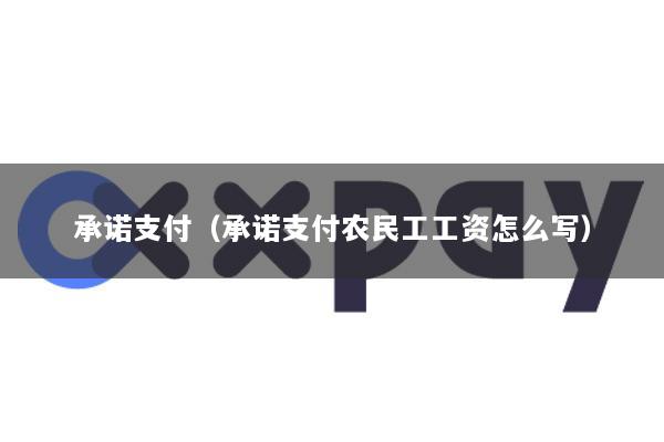 承诺支付(承诺支付农民工工资怎么写)