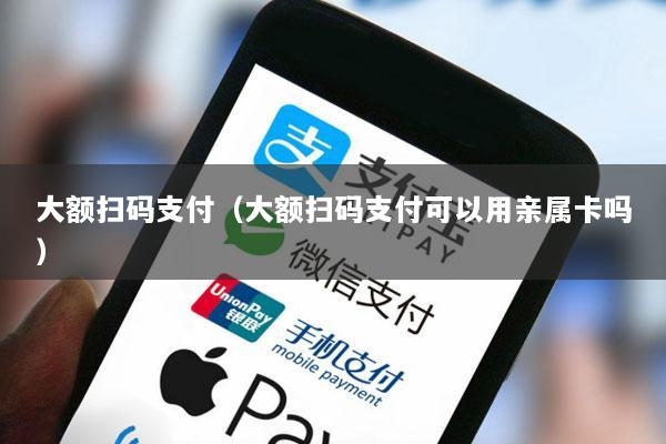 大额扫码支付(大额扫码支付可以用亲属卡吗)