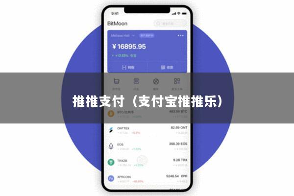 推推支付(支付宝推推乐)