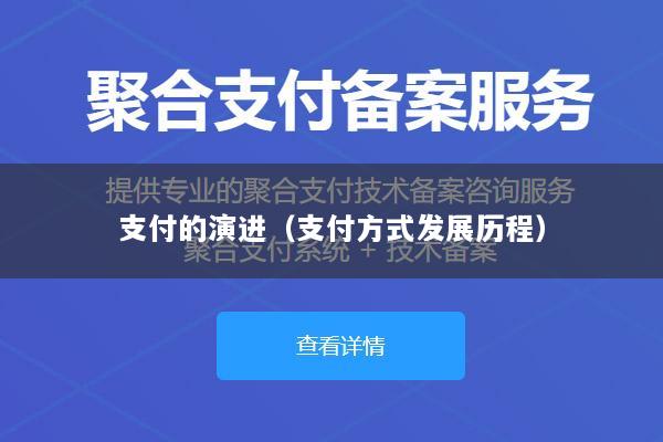 支付的演进(支付方式发展历程)