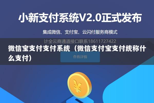 微信宝支付支付系统(微信支付宝支付统称什么支付)