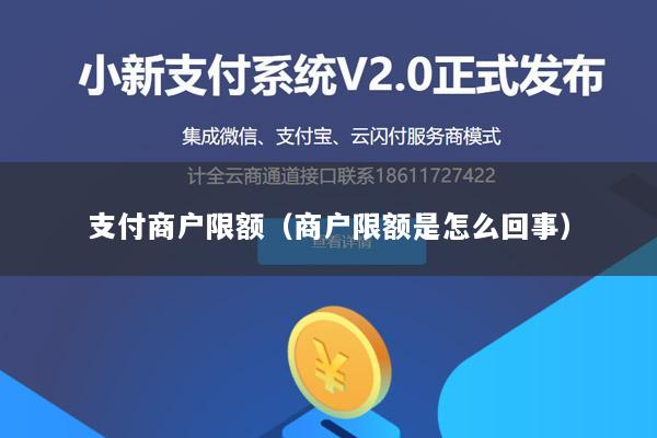支付商户限额(商户限额是怎么回事)