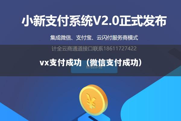 vx支付成功(微信支付成功)