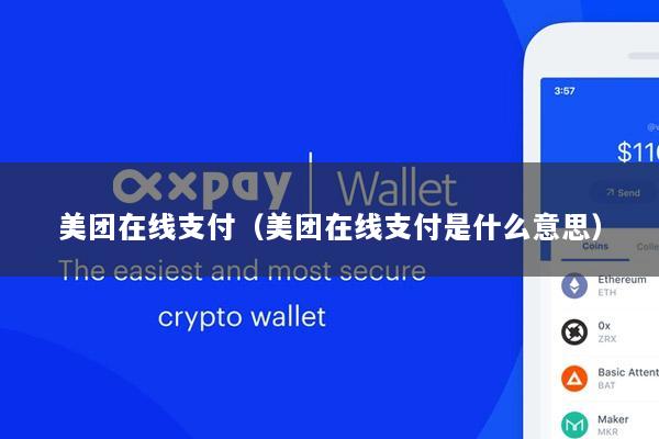 美团在线支付(美团在线支付是什么意思)