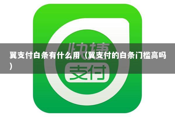 翼支付白条有什么用(翼支付的白条门槛高吗)