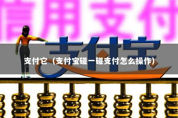 支付它(支付宝碰一碰支付怎么操作)