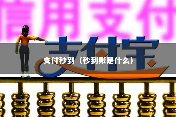 支付秒到(秒到账是什么)
