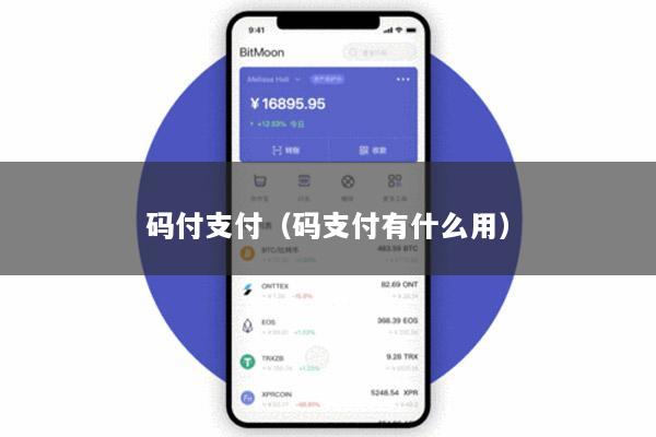 码付支付(码支付有什么用)