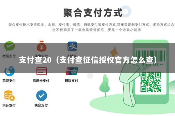 支付查20(支付查征信授权官方怎么查)