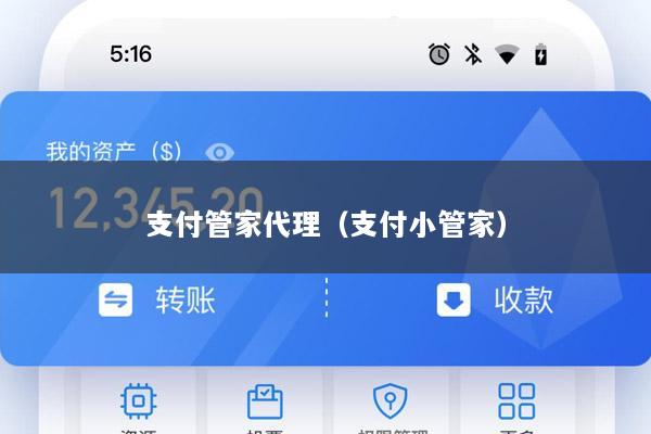 支付管家代理(支付小管家)