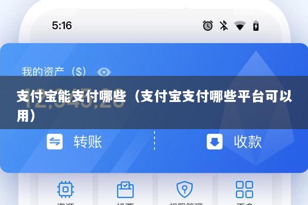 支付宝能支付哪些(支付宝支付哪些平台可以用)