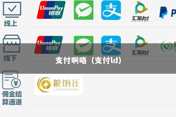 支付啊咯(支付ld)