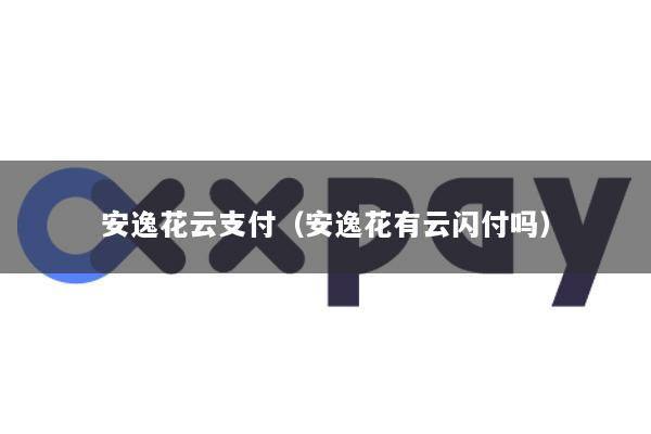 安逸花云支付(安逸花有云闪付吗)