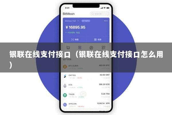 银联在线支付接口(银联在线支付接口怎么用)