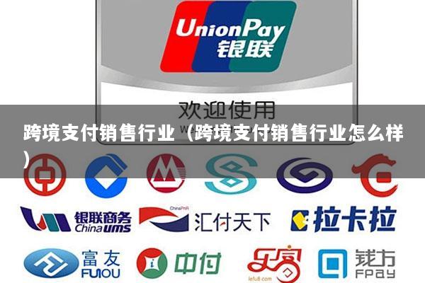 跨境支付销售行业(跨境支付销售行业怎么样)