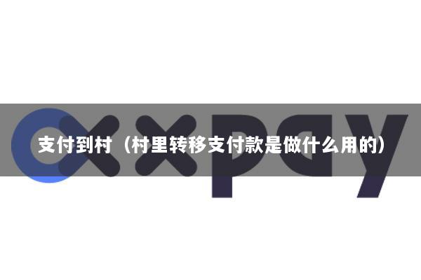 支付到村(村里转移支付款是做什么用的)