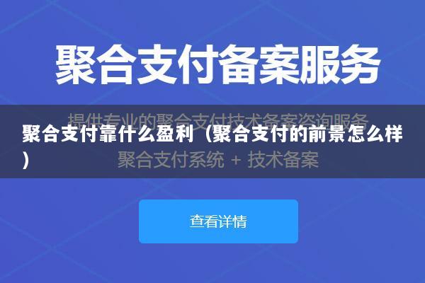 聚合支付靠什么盈利(聚合支付的前景怎么样)