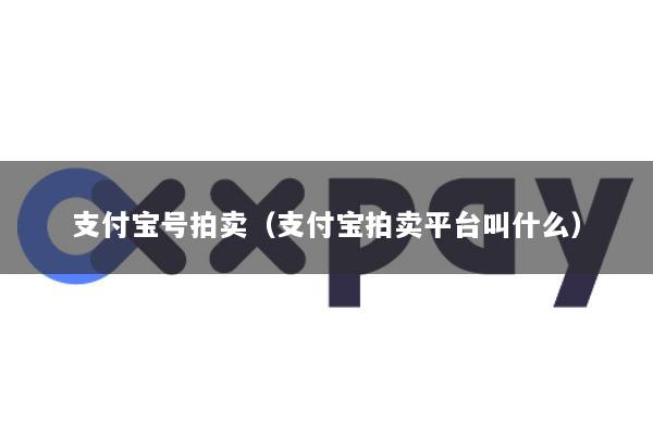 支付宝号拍卖(支付宝拍卖平台叫什么)