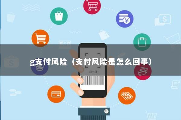 g支付风险(支付风险是怎么回事)