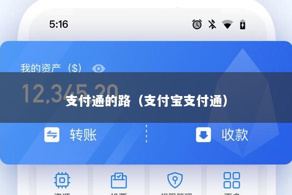 支付通的路(支付宝支付通)