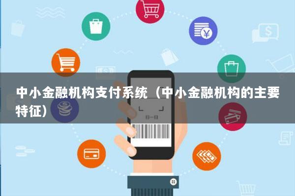 中小金融机构支付系统(中小金融机构的主要特征)