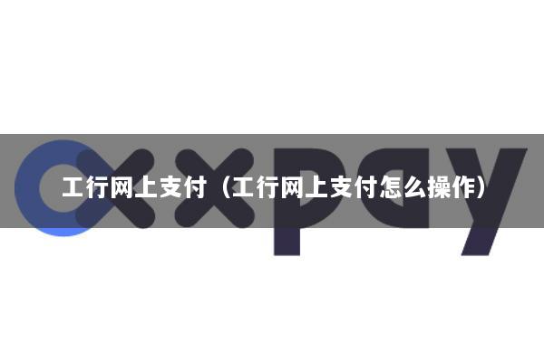 工行网上支付(工行网上支付怎么操作)